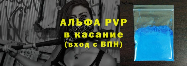 стаф Алзамай