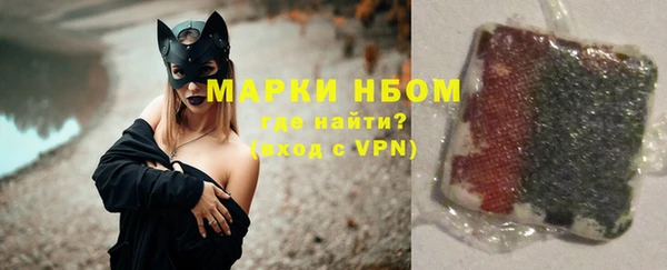 стаф Алзамай