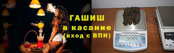 стаф Алзамай